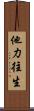 他力往生 Scroll