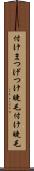 付けまつげ Scroll