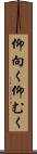 仰向く Scroll