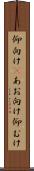 仰向け(P) Scroll