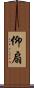 仰扇 Scroll