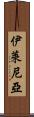 Ylenia Scroll