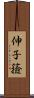 伸子 Scroll