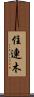 住連木 Scroll