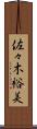 佐々木裕美 Scroll