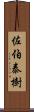 佐伯泰樹 Scroll