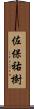 佐保祐樹 Scroll