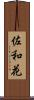 佐和花 Scroll