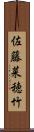 佐藤菜穂竹 Scroll