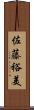 佐藤裕美 Scroll
