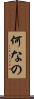 何なの Scroll