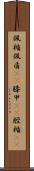佩楯 Scroll