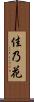 佳乃花 Scroll