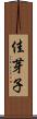 佳芽子 Scroll