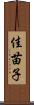 佳苗子 Scroll