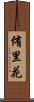侑里花 Scroll