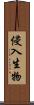 侵入生物 Scroll