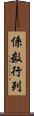 係数行列 Scroll