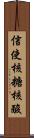 信使核糖核酸 Scroll