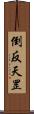 倒反天罡 Scroll