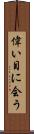 偉い目に会う Scroll
