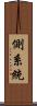 側系統 Scroll