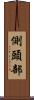 側頭部 Scroll