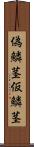 偽鱗茎 Scroll