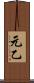 元乙 Scroll