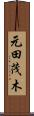元田茂木 Scroll