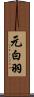 元白羽 Scroll