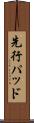 先行パッド Scroll