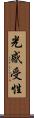 光感受性 Scroll