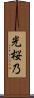 光桜乃 Scroll