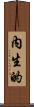 內生的 Scroll