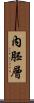內胚層 Scroll