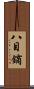 八目鏑 Scroll