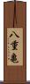 八重亀 Scroll