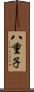 八重子 Scroll
