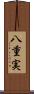 八重実 Scroll