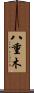 八重木 Scroll