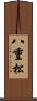 八重松 Scroll