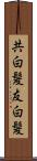 共白髪 Scroll