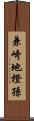 兼崎地橙孫 Scroll