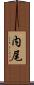内尾 Scroll