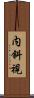 内斜視 Scroll
