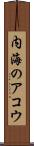 内海のアコウ Scroll