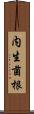 内生菌根 Scroll