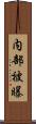 内部被曝 Scroll