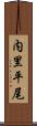 内里平尾 Scroll